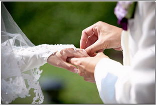 定格永恒瞬间 terry.l photography 专业摄影服务全解析