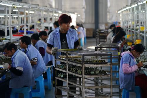疫情下的坚守 一座边境小城与摄影服务的中国之约