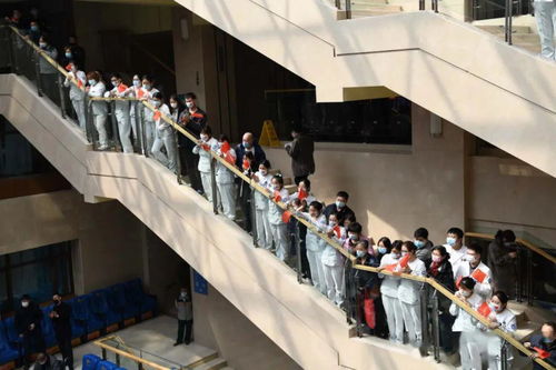 吉林英雄 吉林援鄂医疗队凯旋摄影作品选 咨询策划服务